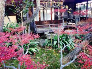 10369585_10152450686910718_6858473107388318374_n