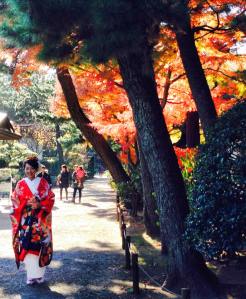 10532989_10152450686300718_8136010076567618001_n