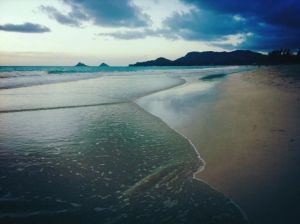 1459850_10151768169265718_380076182_n