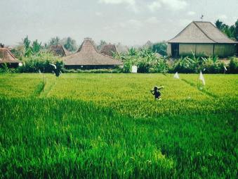 10352192_10152360814650718_3567561120435480504_n