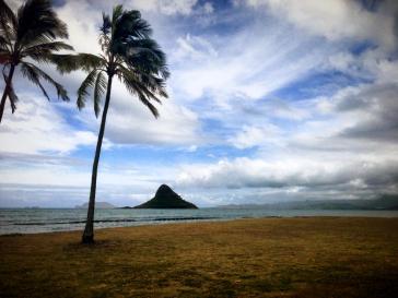 10552527_10152178193150718_3134074172930004082_n