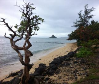 1622784_10151907889960718_1437019202_n