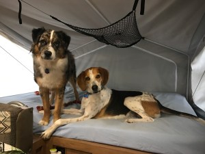 photo-dec-08-9-43-40-am