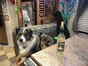 photo-dec-19-3-23-17-pm