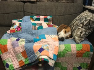 photo-nov-24-9-07-56-pm